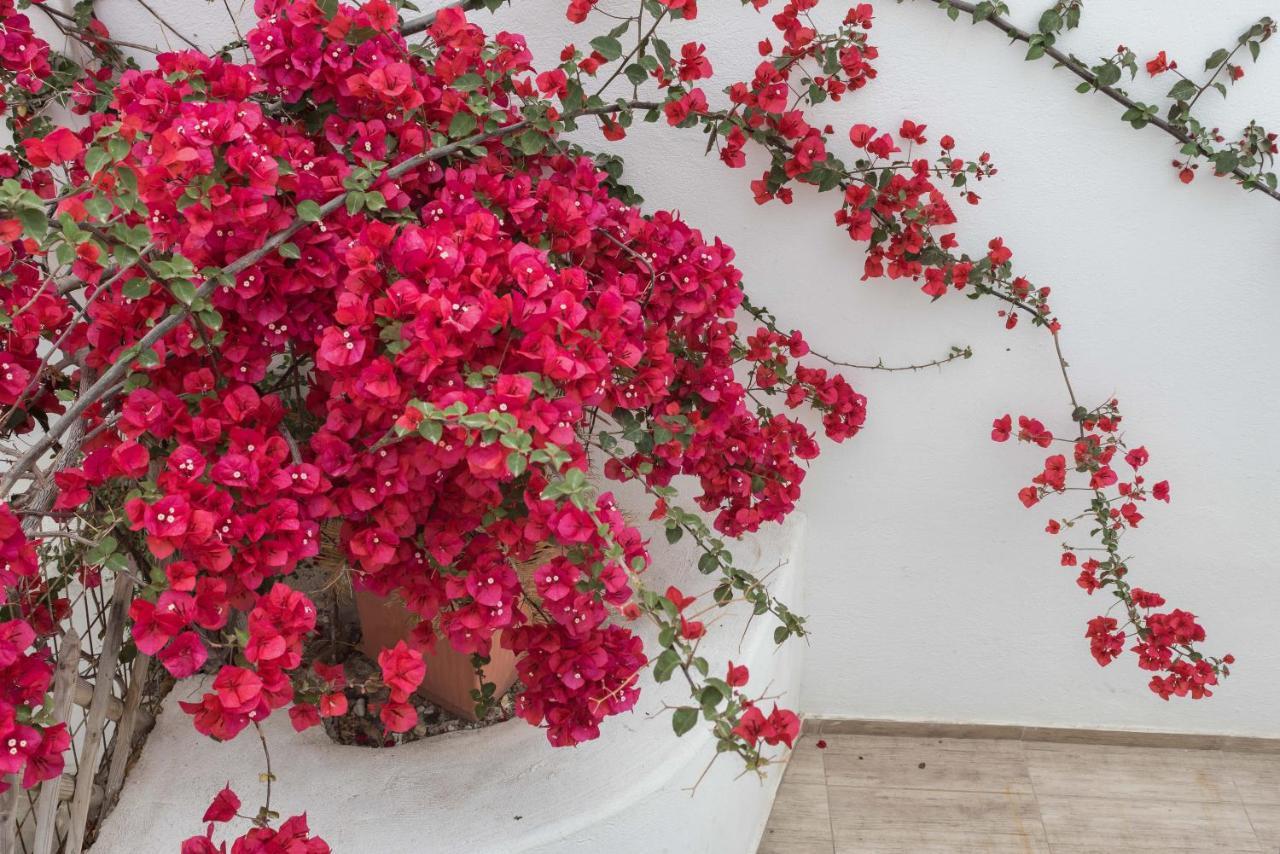 Depis Apartments & Suites Agia Anna (Naxos) Exterior foto